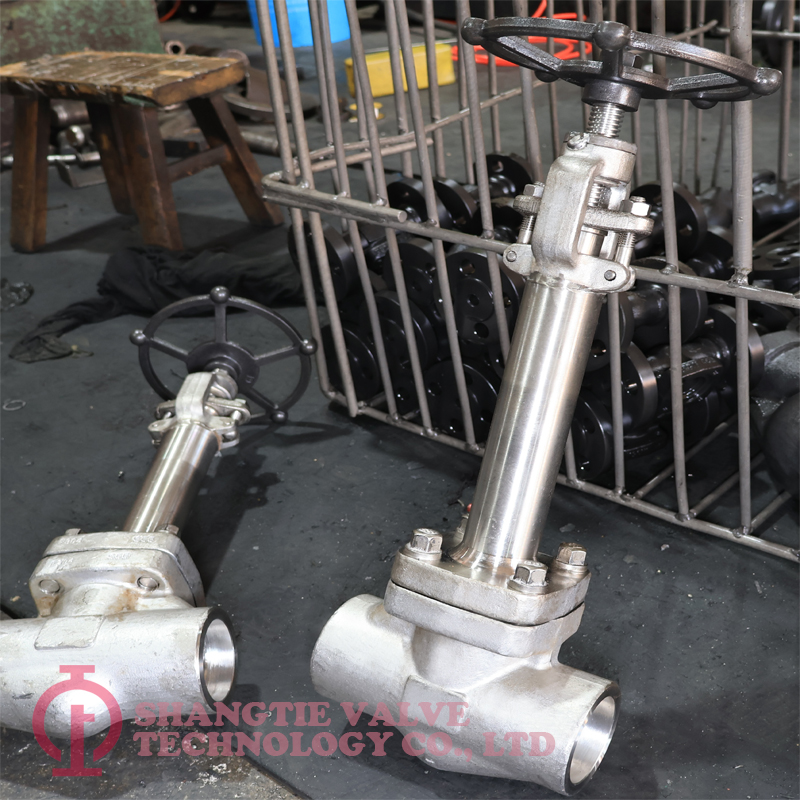 API 602 SW End Stainless Steel Extension Stem Cryogenic Forged Globe Valves detail 3