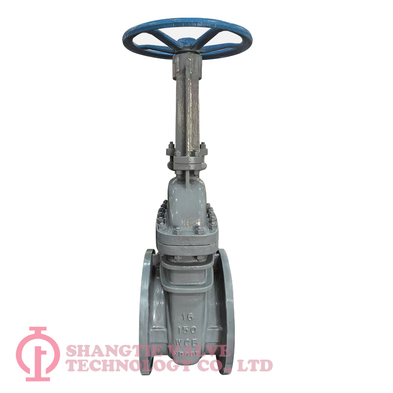 Industry 16inch 150LB Cast Steel Flange Wedge Gate Valve detail 3
