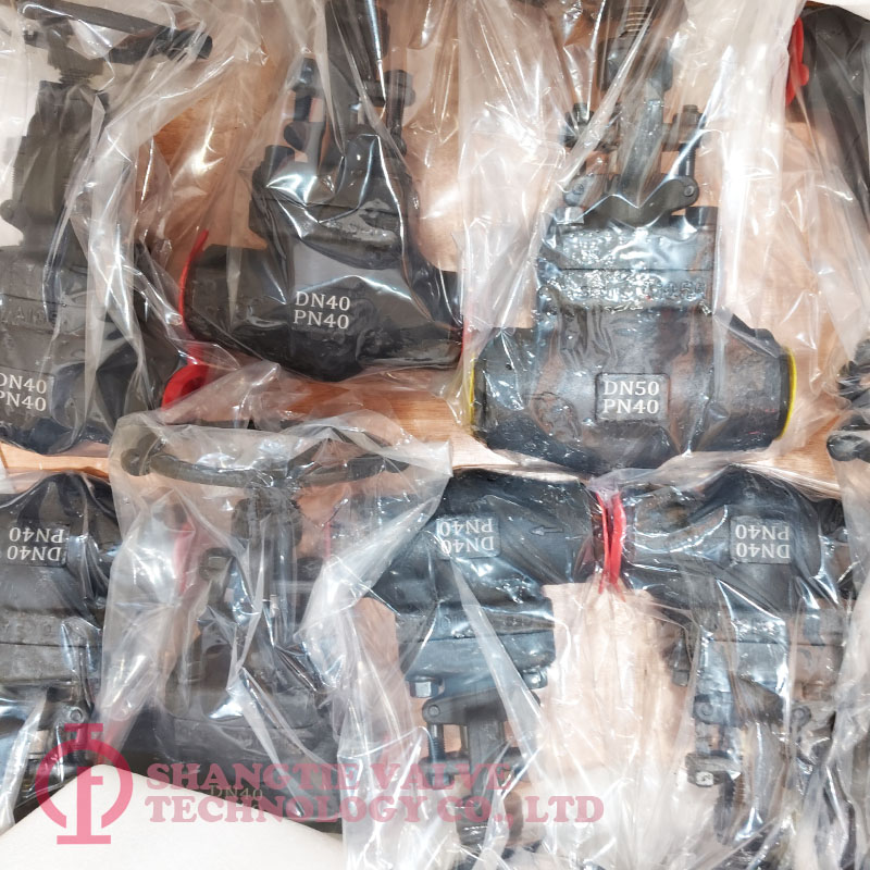 DIN Standard But-welded End A105N Forged Steel Globe Valve detail 2