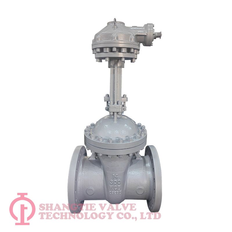 API 600 Cast Steel Wedged Gate Valve detail 3