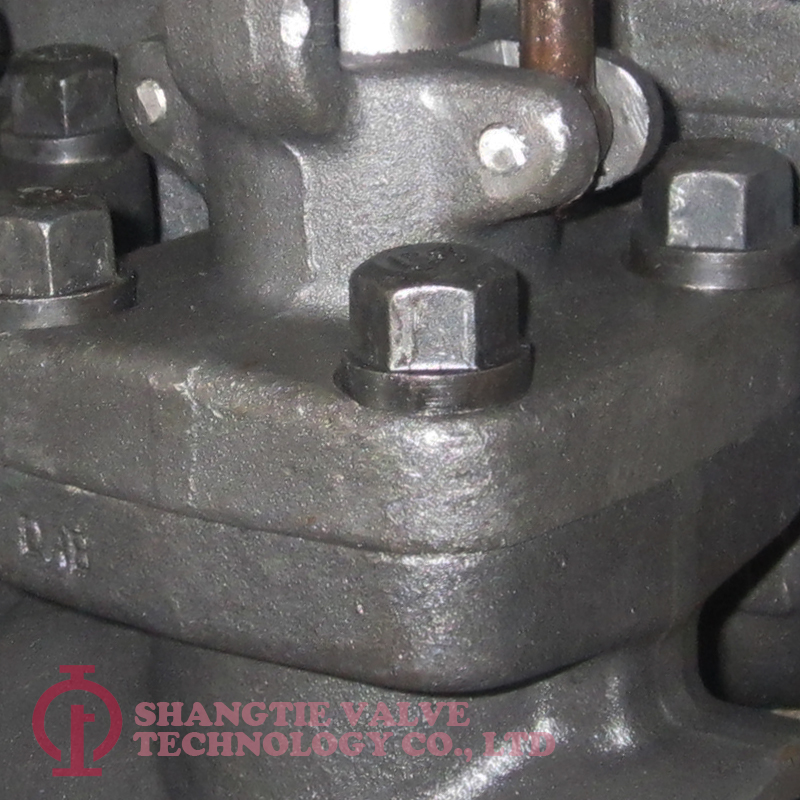 API 602 BB SW End Forged Steel Gate Valve detail 2