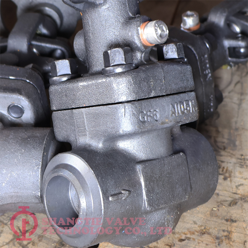 A105N Forged Steel Vacuum Globe Valve detail 5