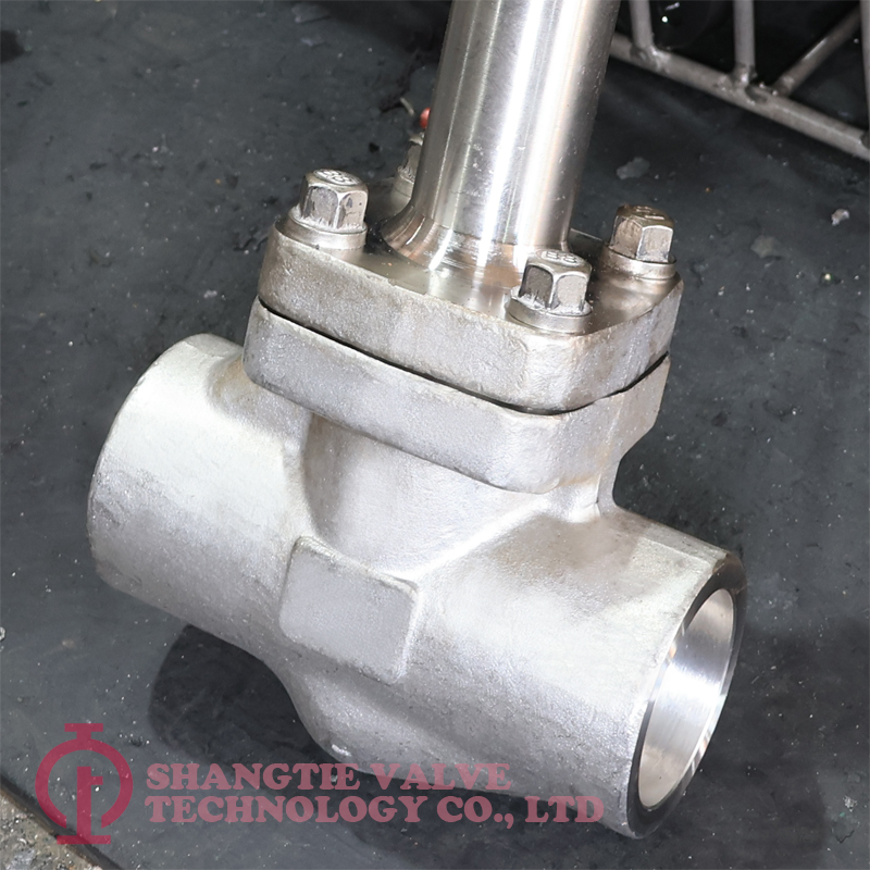 API 602 SW End Stainless Steel Extension Stem Cryogenic Forged Globe Valves detail 2