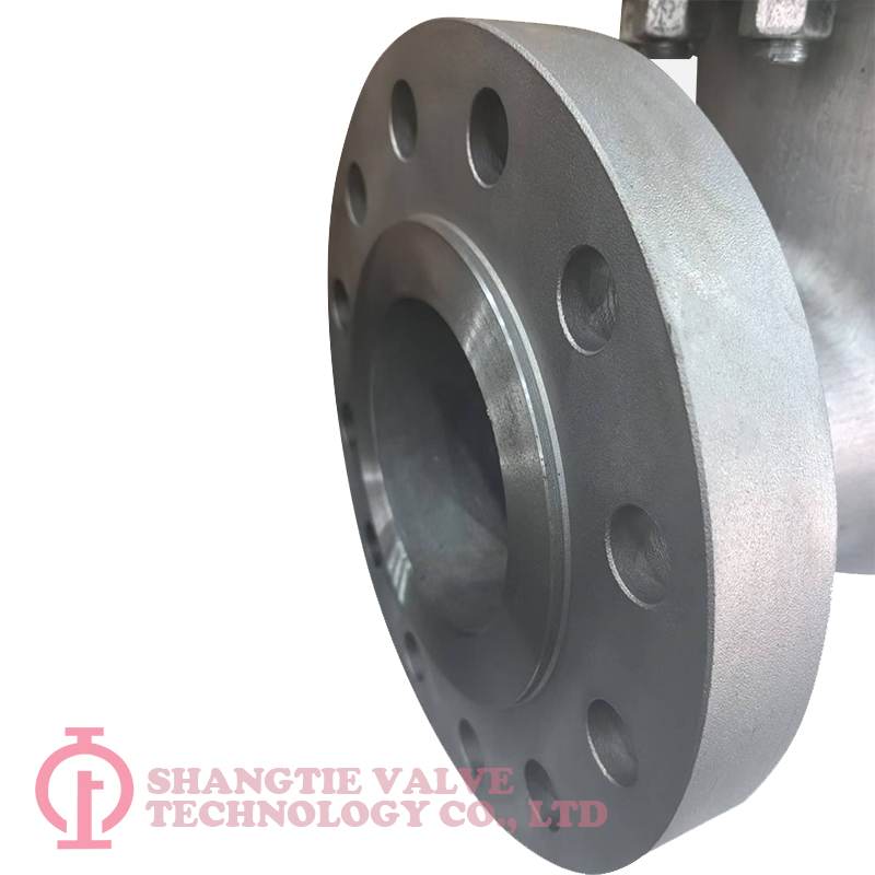 API BS ASME 4A 5A 6A Duplex Stainless Steel Globe Valve detail 2