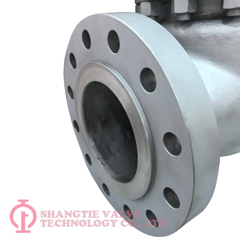API BS1868 600LB 8inch CF3M Industrial Stainless Steel Check Valve detail 3