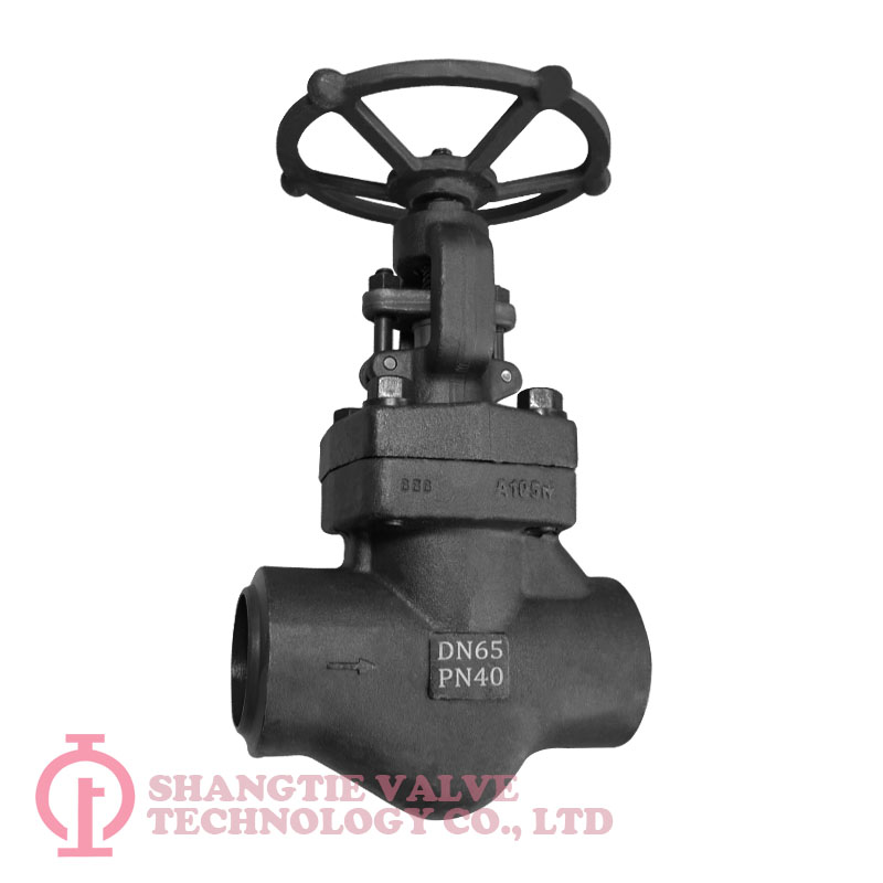 DIN Standard But-welded End A105N Forged Steel Globe Valve detail 1