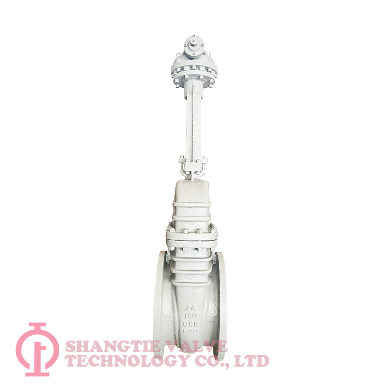 API 600 Cast Steel Wedged Gate Valve detail 2