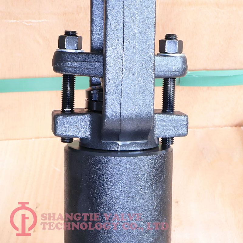 Pressure Sealed Forged Steel Globe Valve detail 4