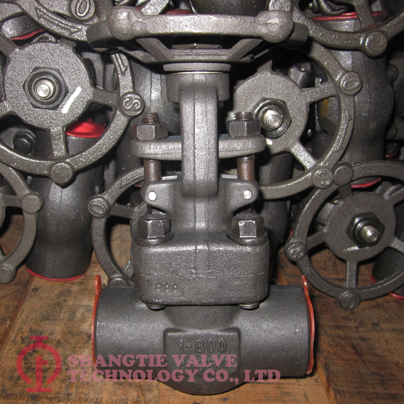 API 602 BB SW End Forged Steel Gate Valve detail 6