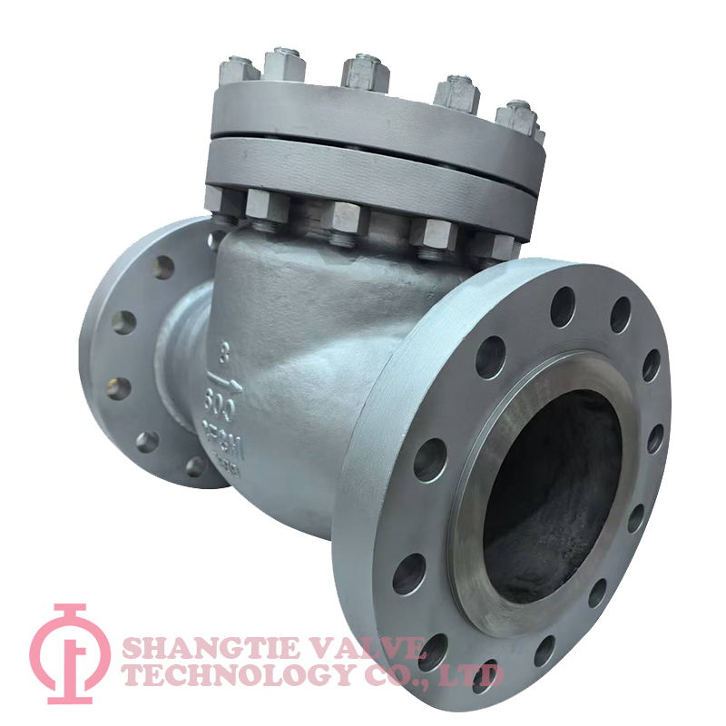 API BS1868 600LB 8inch CF3M Industrial Stainless Steel Check Valve detail 2