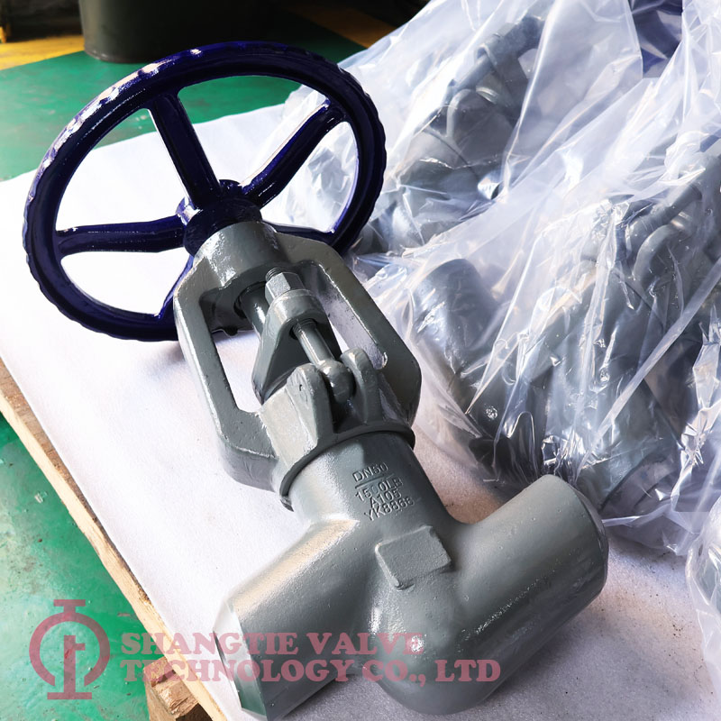 Industry 1 inches 1500LB A105 Power Station Globe Valve detail 3