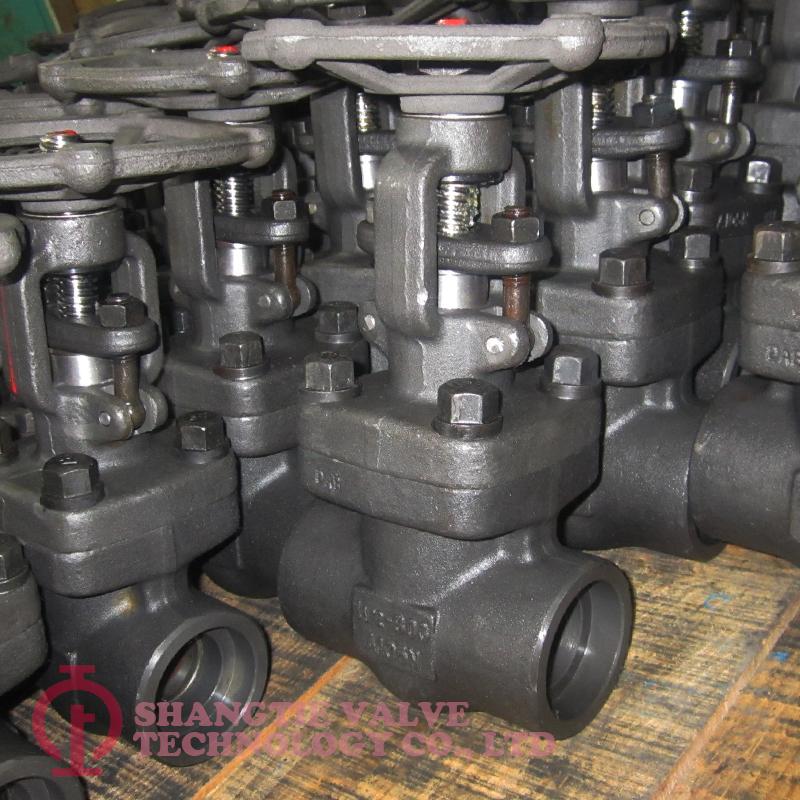 API 602 BB SW End Forged Steel Gate Valve detail 5