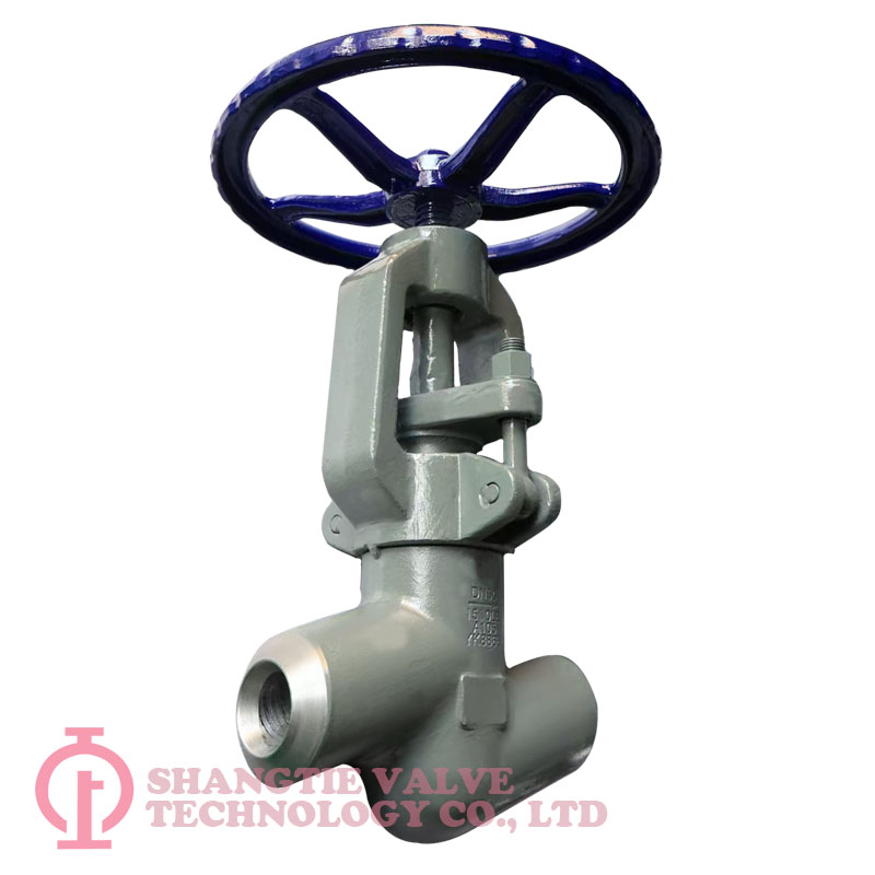 Industry 1 inches 1500LB A105 Power Station Globe Valve detail 1