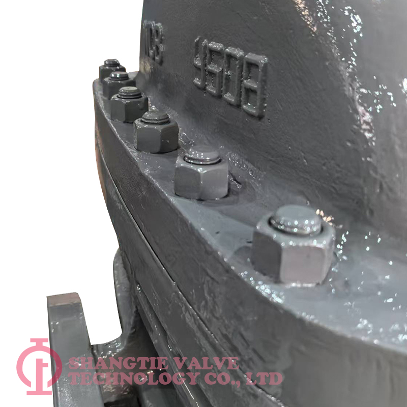 Industry 16inch 150LB Cast Steel Flange Wedge Gate Valve detail 2