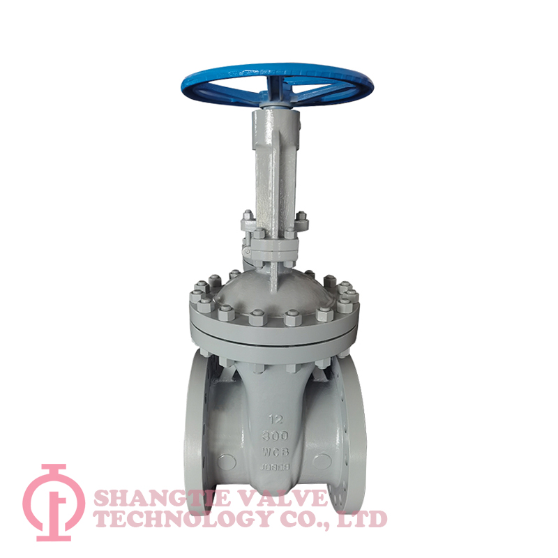 API 600 Cast Steel Wedged Gate Valve detail 5
