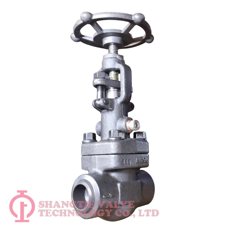 A105N Forged Steel Vacuum Globe Valve detail 1