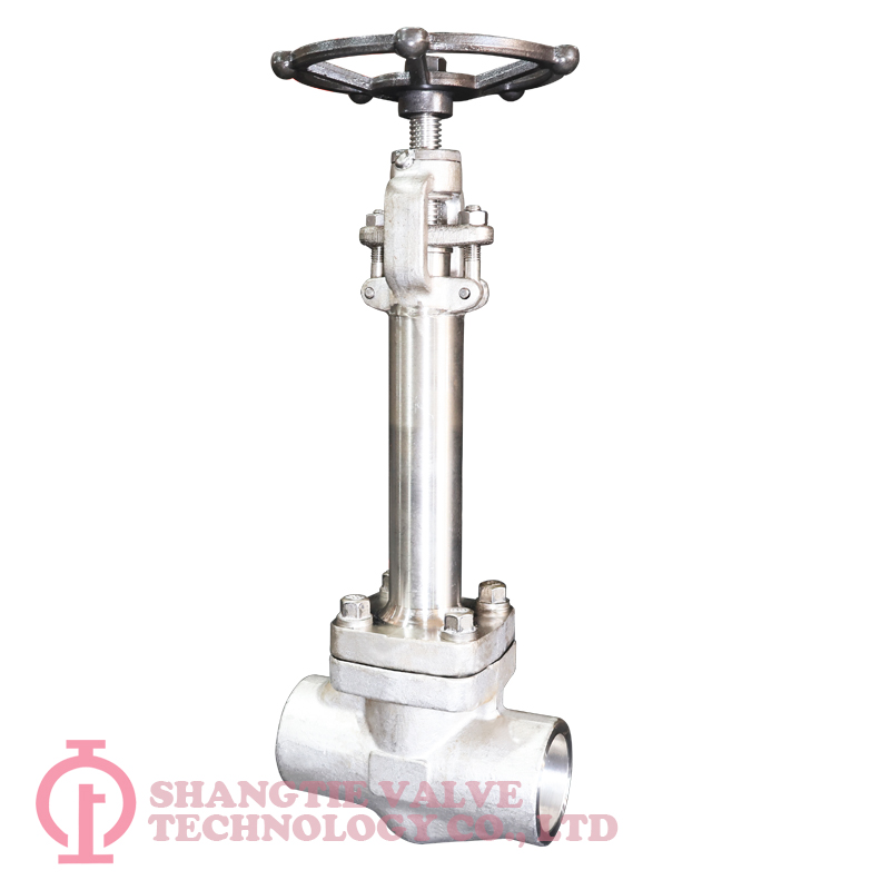 API 602 SW End Stainless Steel Extension Stem Cryogenic Forged Globe Valves detail 1