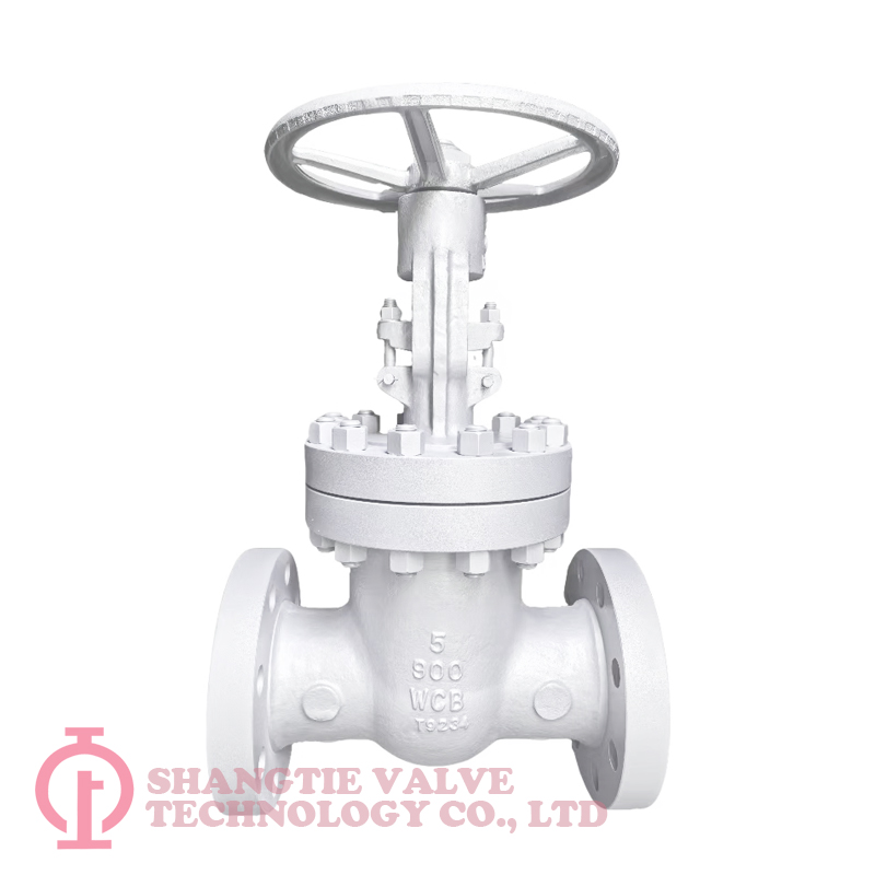 API 600 Cast Steel Wedged Gate Valve detail 4